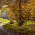 Der Herbst verabschiedet sich