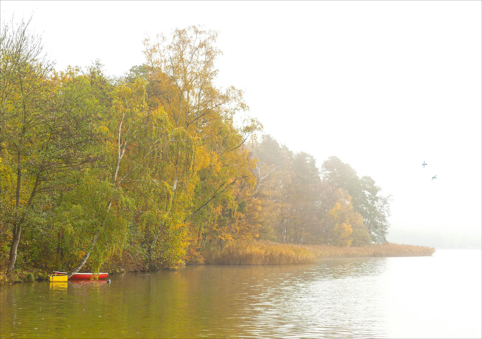 Der Herbst verdeckt sein buntes Treiben...