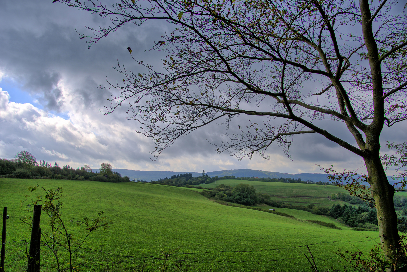 Der Herbst verdrängt den Sommer