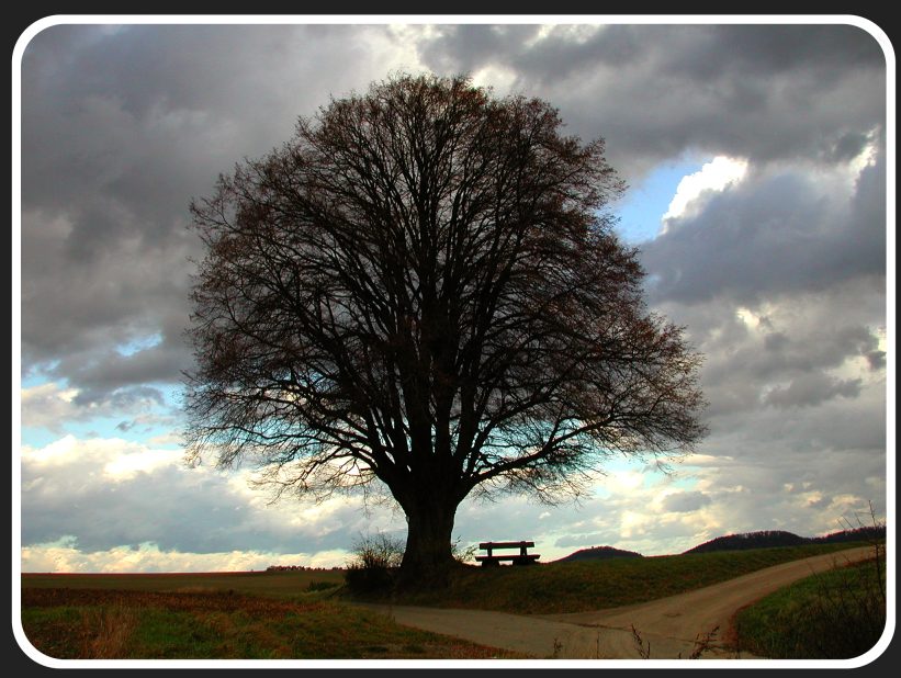 Der Herbst von heute nachmittag