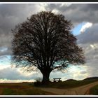 Der Herbst von heute nachmittag