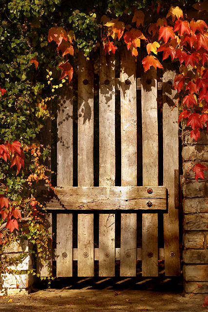 Der Herbst von seiner schönen Seite