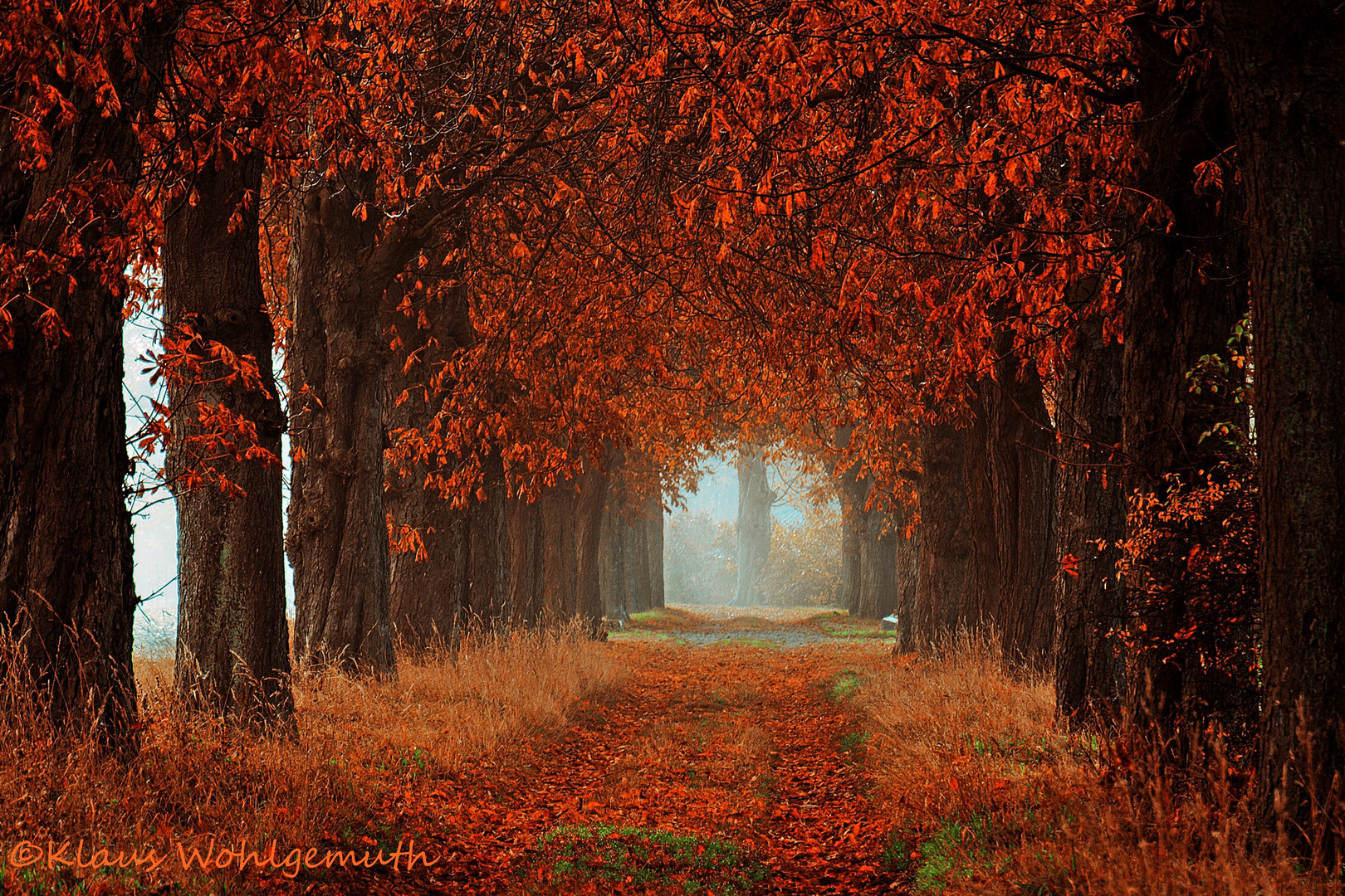 Der Herbst von seiner schönen Seite