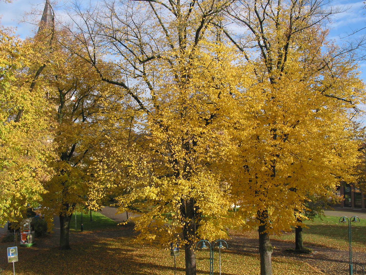 Der Herbst von seiner schönen Seite