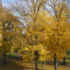 Der Herbst von seiner schönen Seite