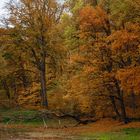 der Herbst von seiner schönen Seite