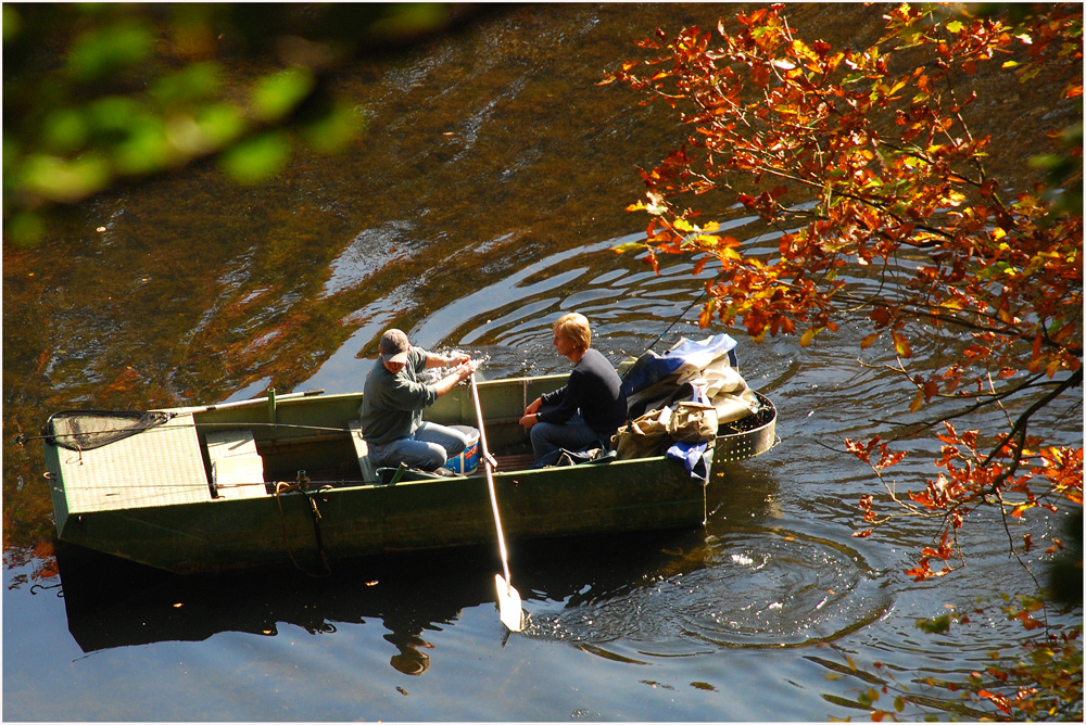 Der Herbst von seiner schönen Seite.