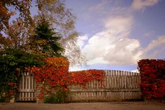 Der Herbst von seiner schönen Seite II