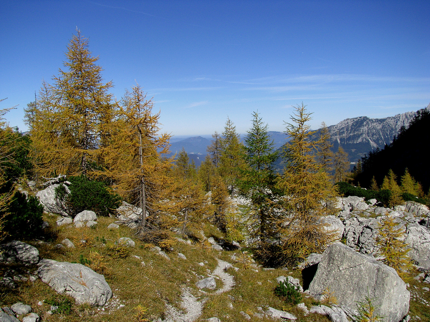 Der Herbst von seiner schönsten Seite