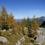 Der Herbst von seiner schönsten Seite