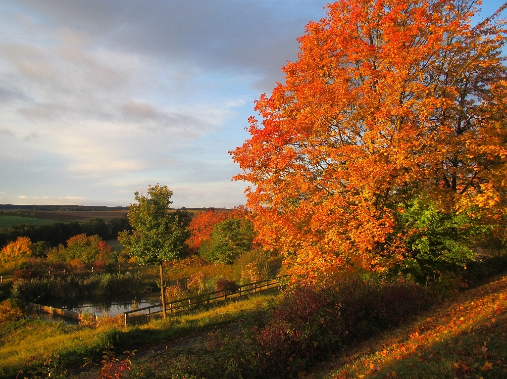 der Herbst von seiner schönsten Seite ,