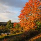 der Herbst von seiner schönsten Seite ,