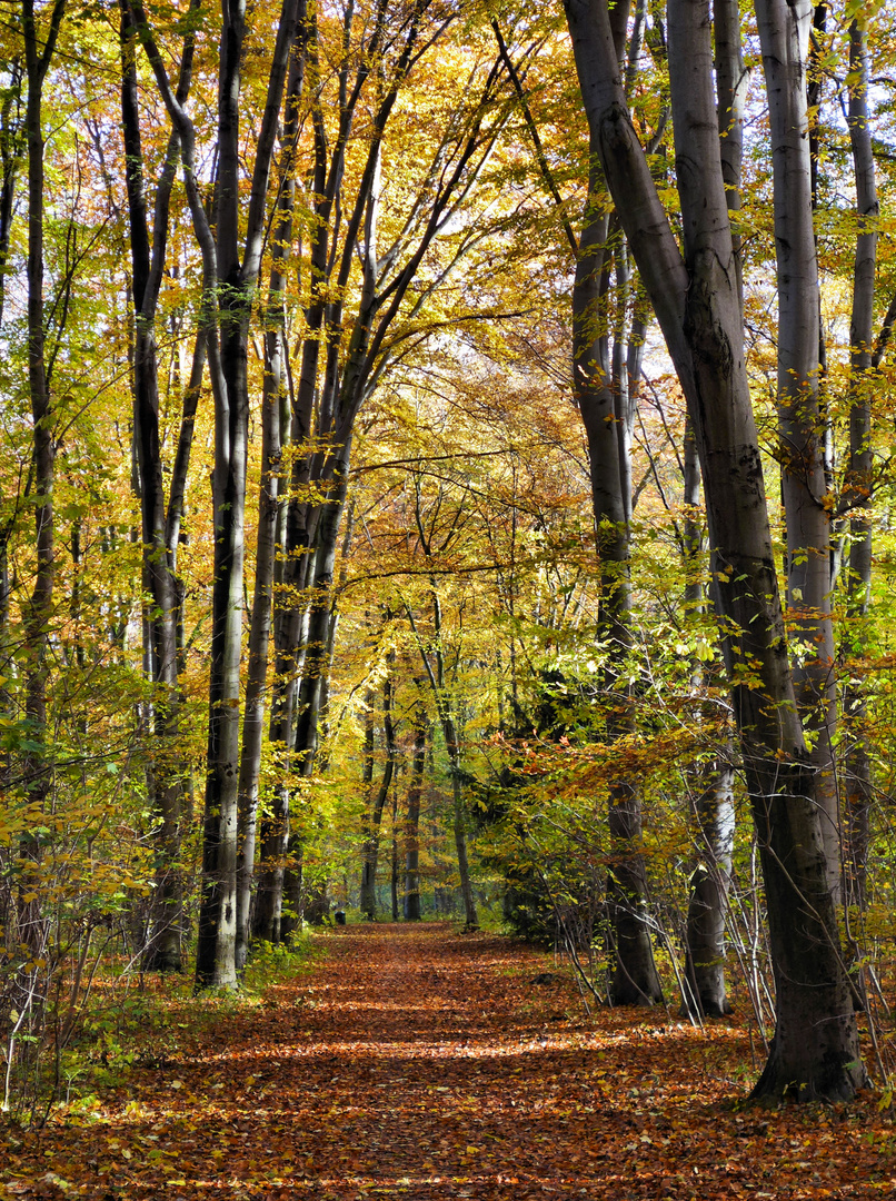 Der Herbst von seiner schönsten Seite