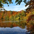 Der Herbst von seiner schönsten Seite.