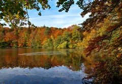 Der Herbst von seiner schönsten Seite.