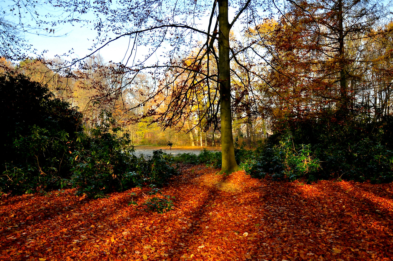 Der Herbst von seiner schönsten Seite