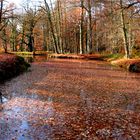 Der Herbst von seiner schönsten Seite