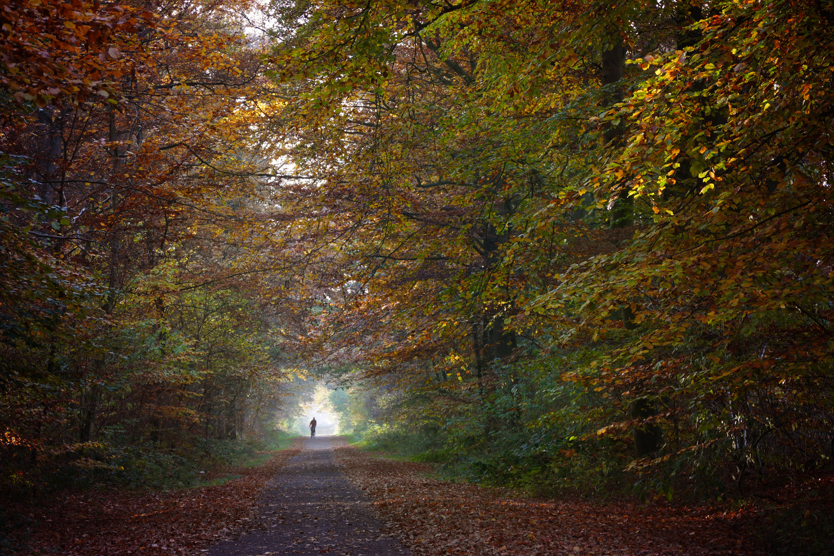 Der Herbst von seiner schönsten Seite