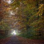 Der Herbst von seiner schönsten Seite