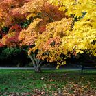 der HERBST von seiner schönsten Seite