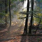 der Herbst von seiner schönsten Seite