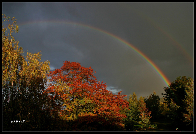 Der Herbst von seiner schönsten Seite...