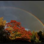 Der Herbst von seiner schönsten Seite...