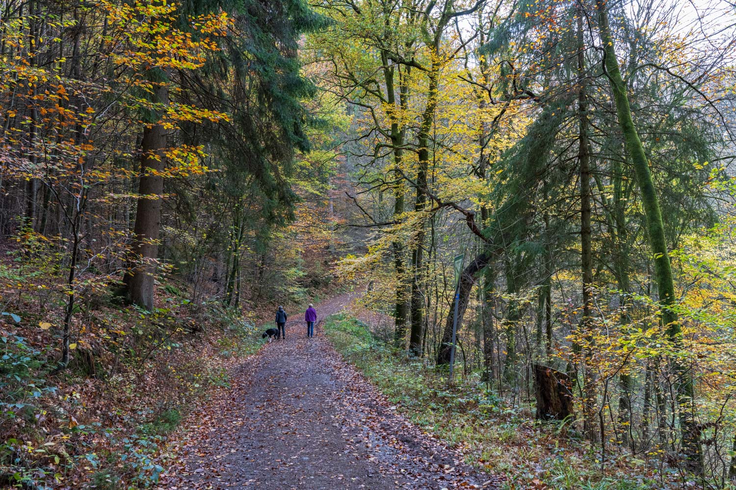 Der Herbst von seiner schönsten Seite