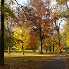 Der Herbst - von seiner schönsten Seite