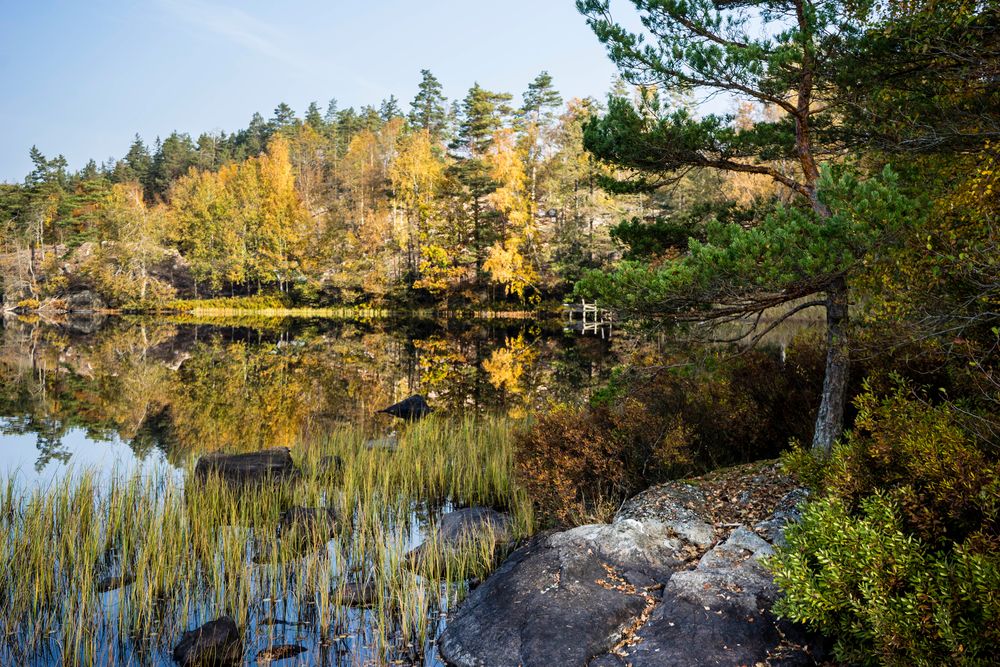 Der Herbst von seiner schönsten Seite