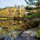 Der Herbst von seiner schönsten Seite