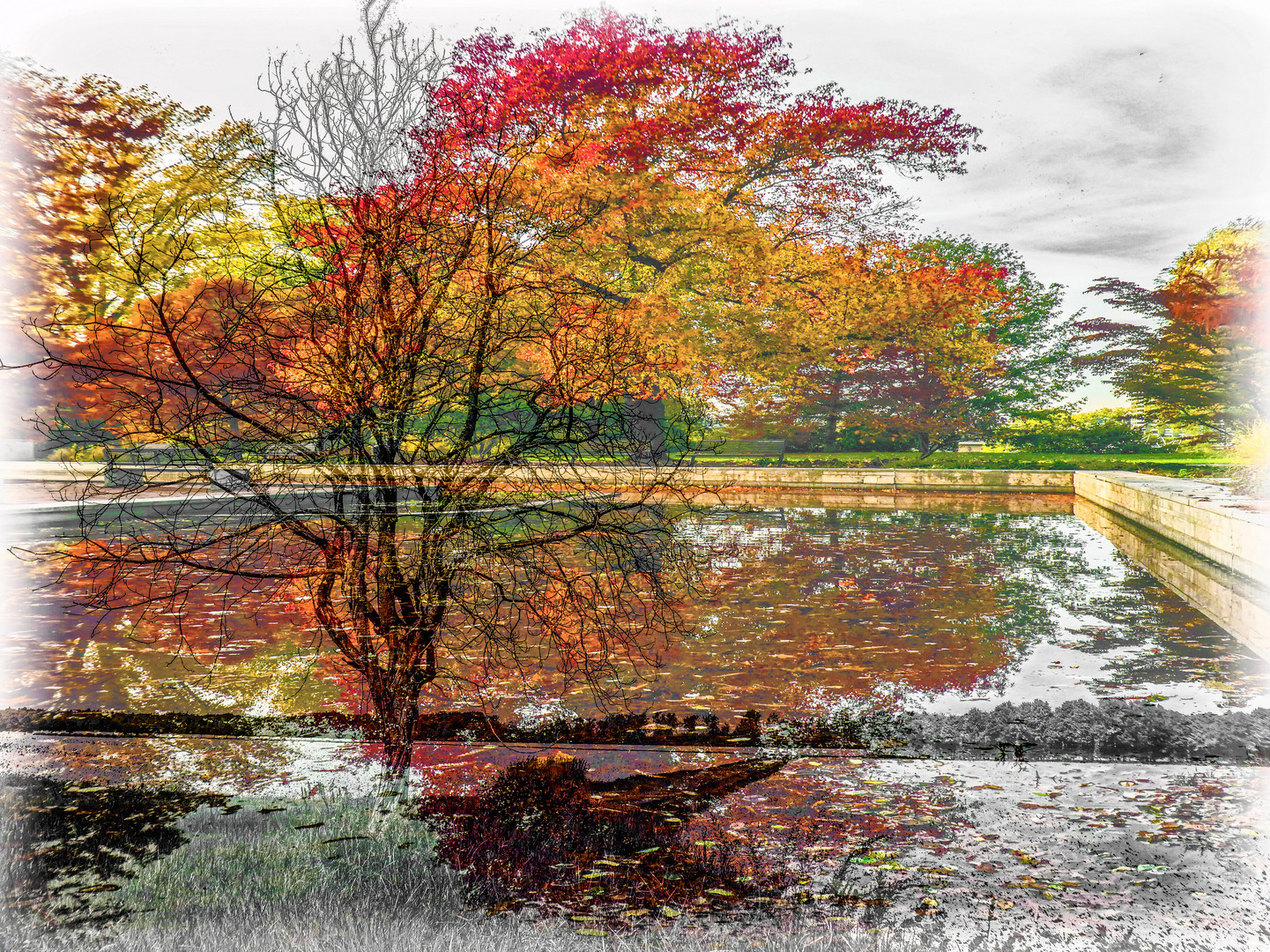 DER HERBST VON SEINER SCHÖNSTEN SEITE.....