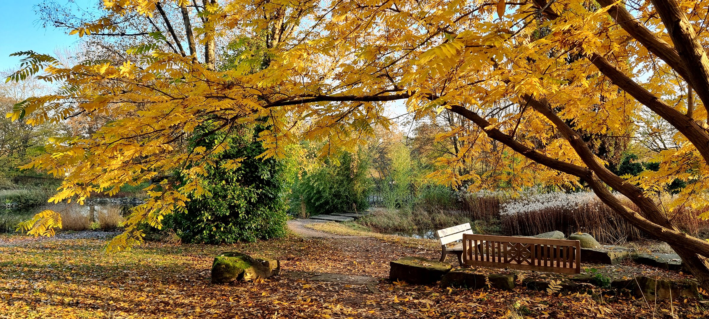 Der Herbst von seiner schönsten Seite