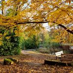 Der Herbst von seiner schönsten Seite