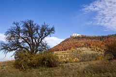 der Herbst von seiner schönsten Seite