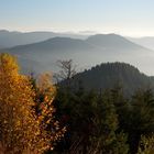 Der Herbst von seiner schönsten Seite