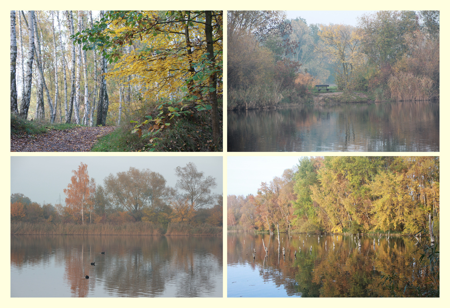 der Herbst vor der Haustür