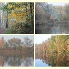 der Herbst vor der Haustür