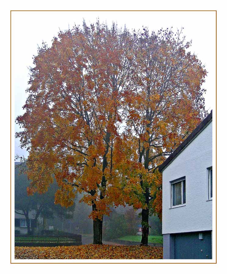 Der Herbst vor der Tür