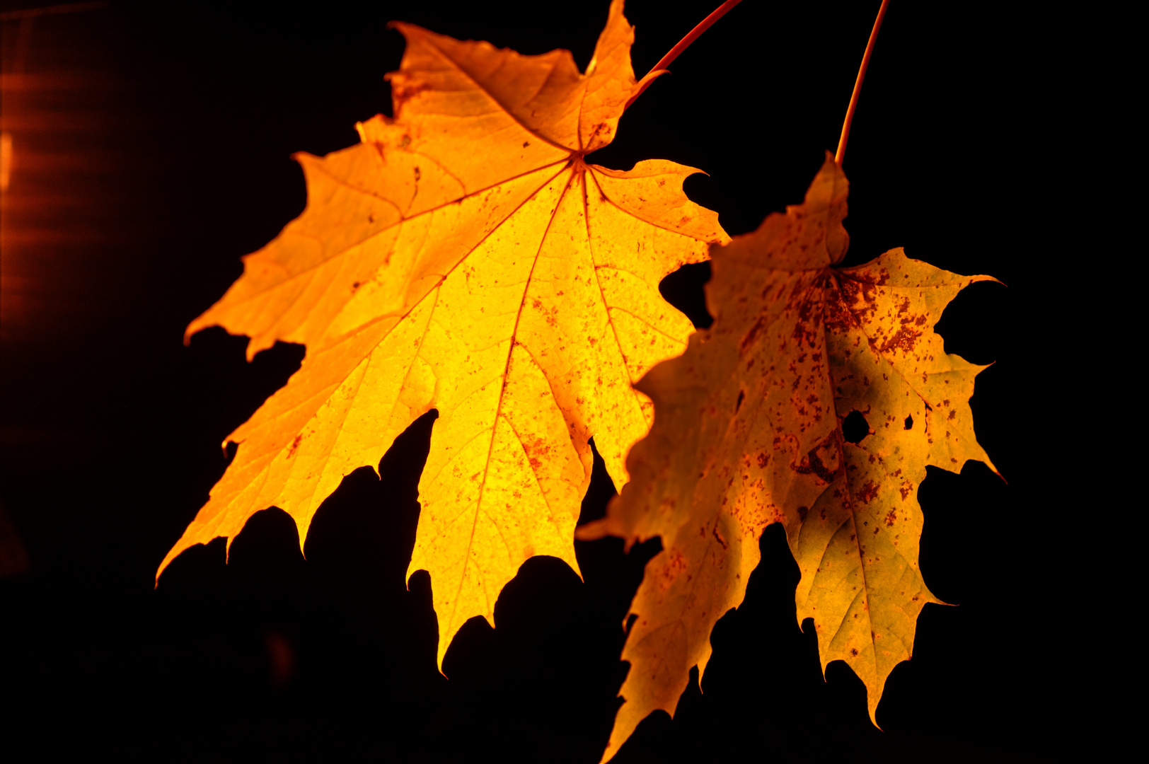 Der Herbst vor vier Jahren