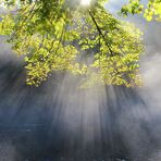 Der Herbst war schön