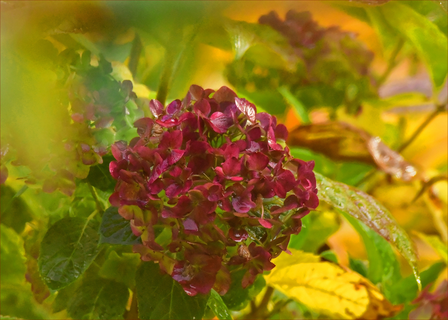 der Herbst war schön