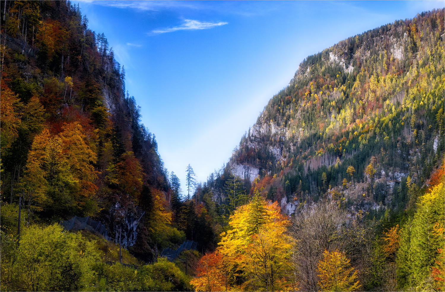 Der Herbst war so schön ...