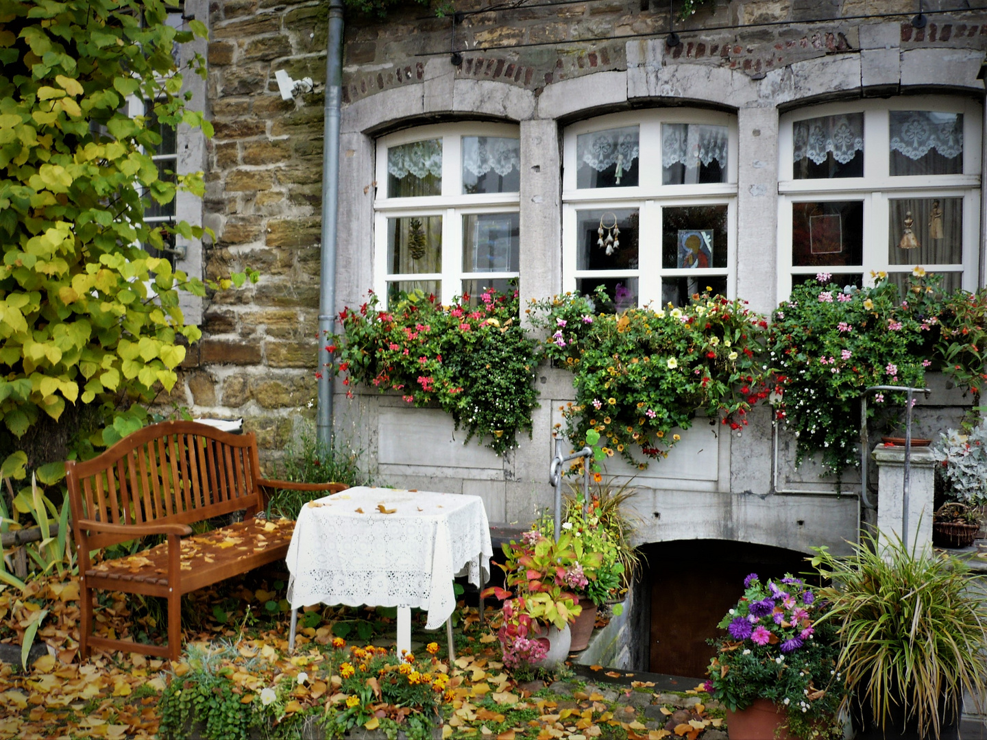 - der HERBST wird romantisch und schön ..