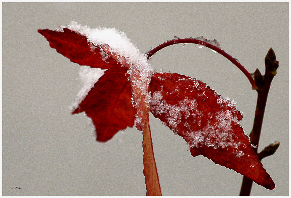 Der Herbst wird vom Winter eingeholt