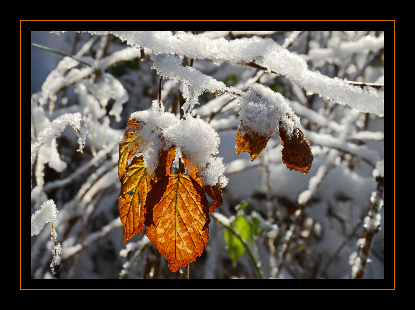 Der Herbst wird vom Winter zugedeckt