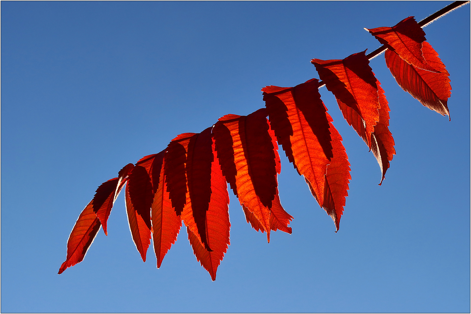 Der Herbst zeigt Farbe...