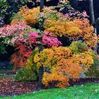 Der Herbst zeigt hier sein schönes buntes Gesicht