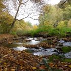 Der Herbst zeigt sein schönes Gesicht