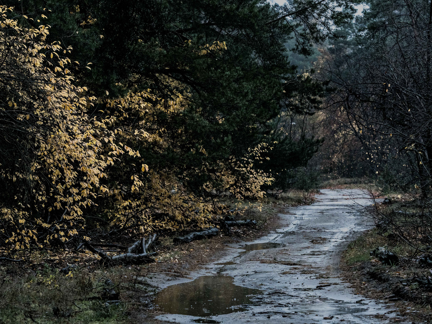 Der Herbst zeigt seine ruppige Seite